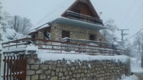 Villa Magnolia